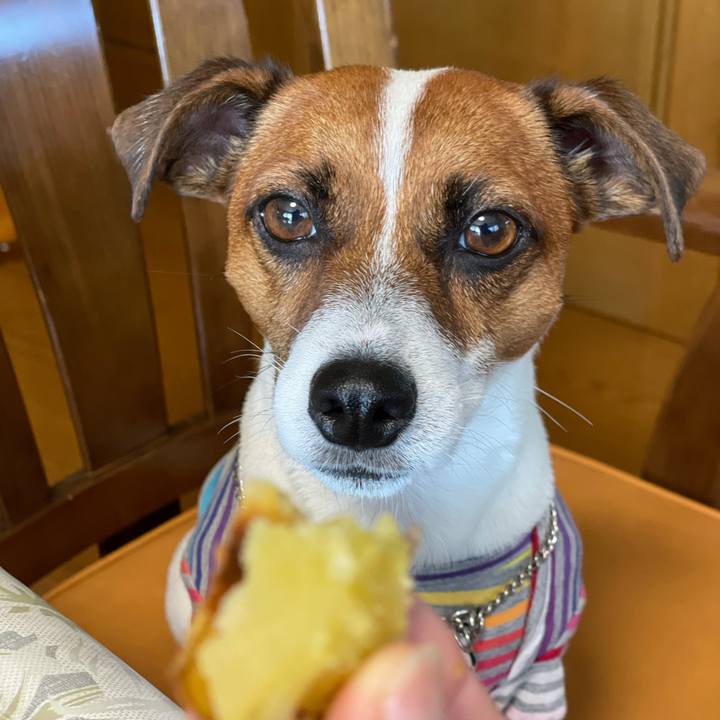 58ebb58b 6750 44aa b5ad 1dccf76f3260 1632898459637