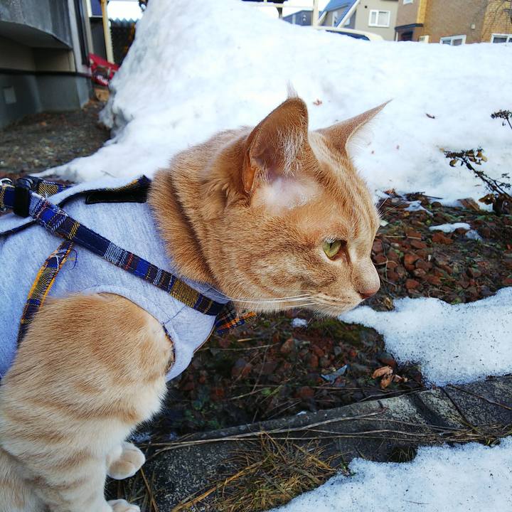 58ebb904 26ba 4f22 84d4 cc20c2dbfbbe 1584771084750