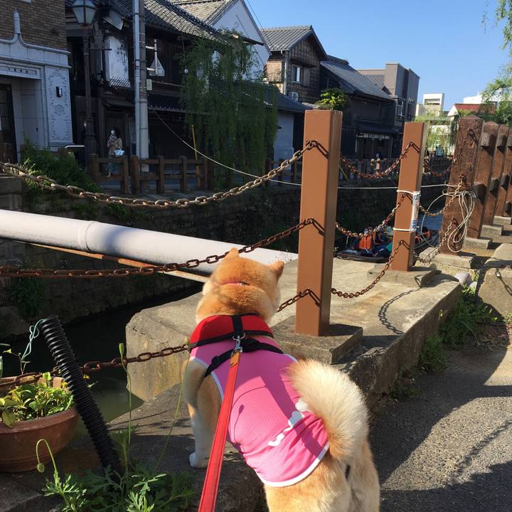 58ebd4bf 231a 470b a1d0 802824d11219 1618083609338