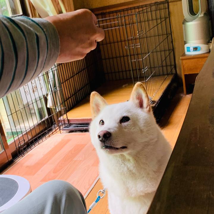 58ebdbfd 97f9 427a be99 cb1d686214d1 1601151276917