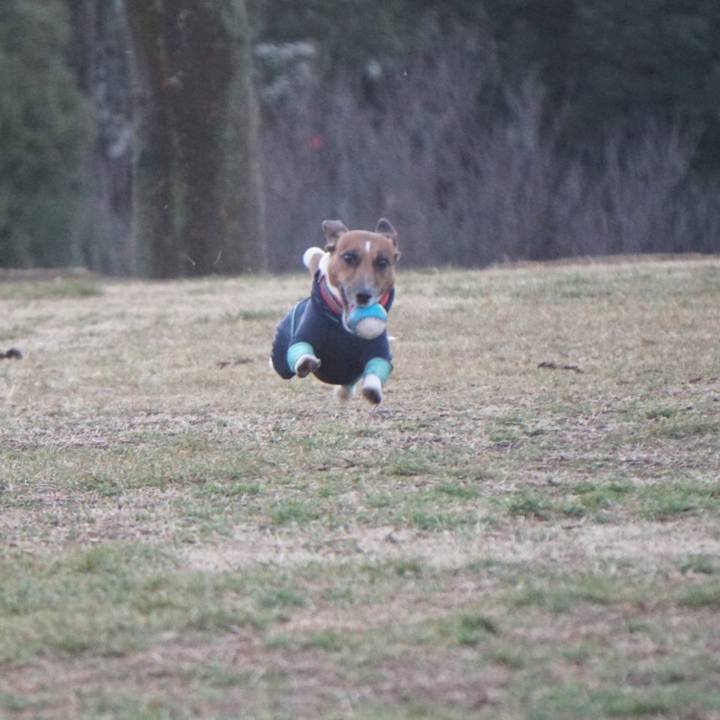 58ec1008 cbbc 4f62 913d 49b03b97f639 1549234871010