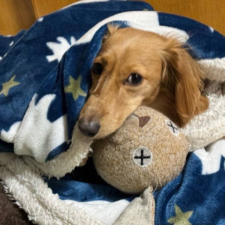 58ec3374 82f8 416c 8c58 1d2f61a8aa61 1706538190202