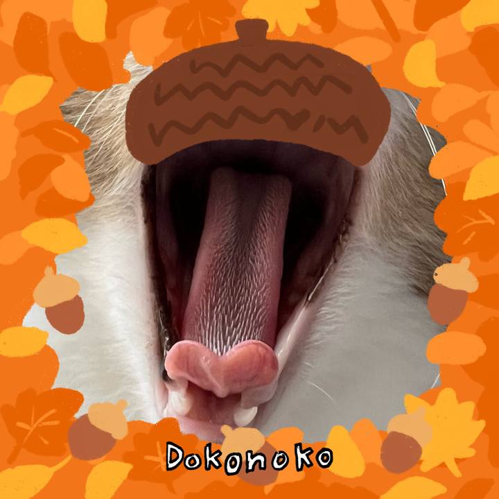 58ec5b81 f87d 41da 8bb8 bfdd77568f62 1789701036335