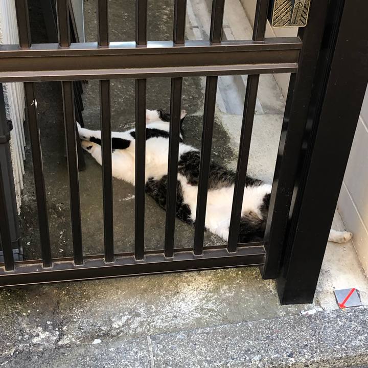 58ec6135 2fed 496e 98c9 8653a0382d15 1597915916149