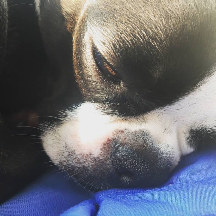 58ecd579 5519 4b46 a99b 5ab17b5315e5 1519531197869