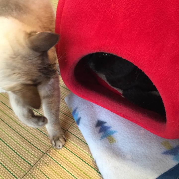 58ecf47f 55fa 4c31 b6d6 a1b5431bd92b 1538346624279