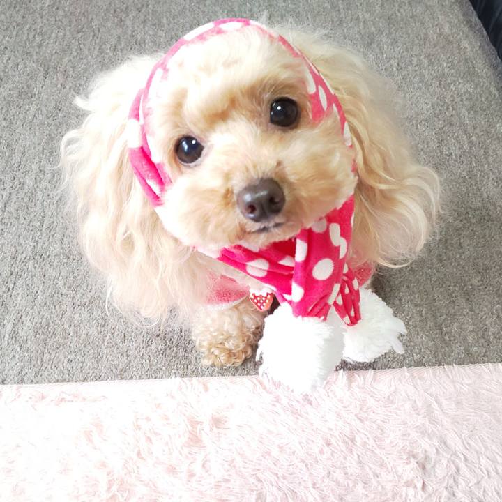 58ed027a 81bf 43d9 9641 71f329a3ae0c 1579853752245