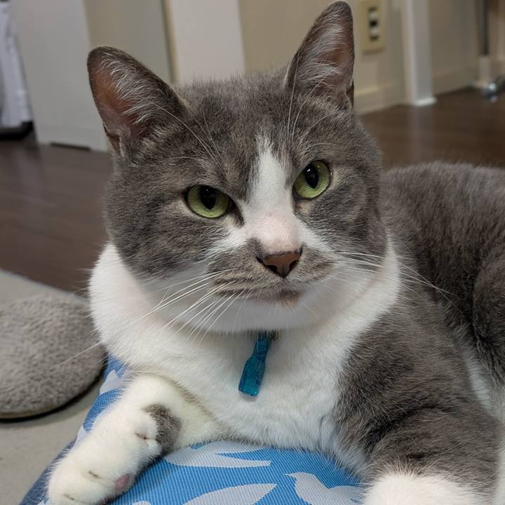 58ed1397 10c2 4195 9c67 9cf67260c9c6 1747475041435