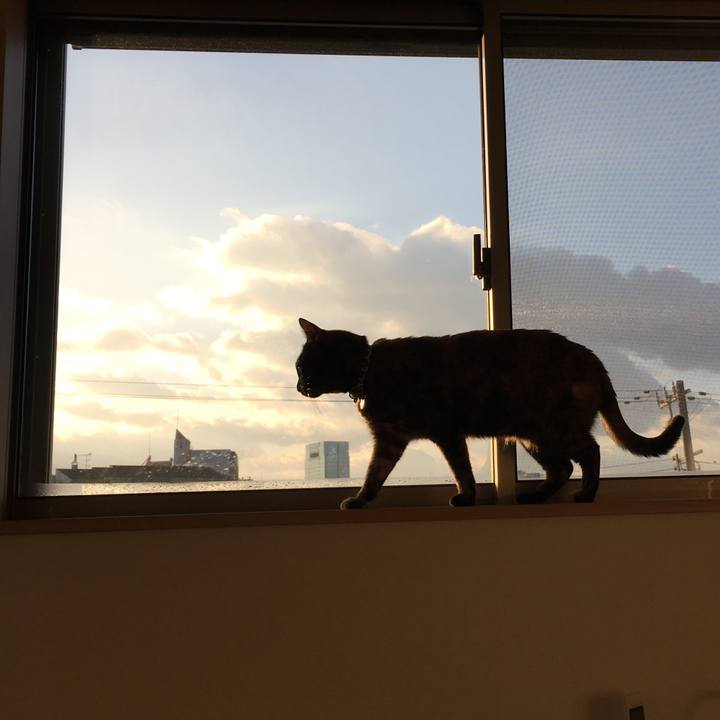 58ed200e 9793 42ae b0f1 bfe2572cf1a9 1517716149440