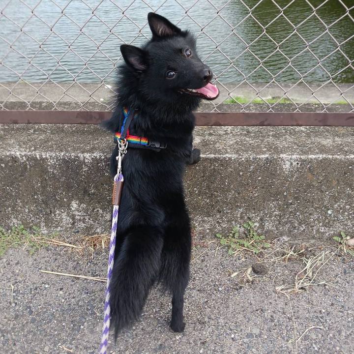 58ed2a20 5eb6 4edc 8771 51a0827a0470 1758425131359