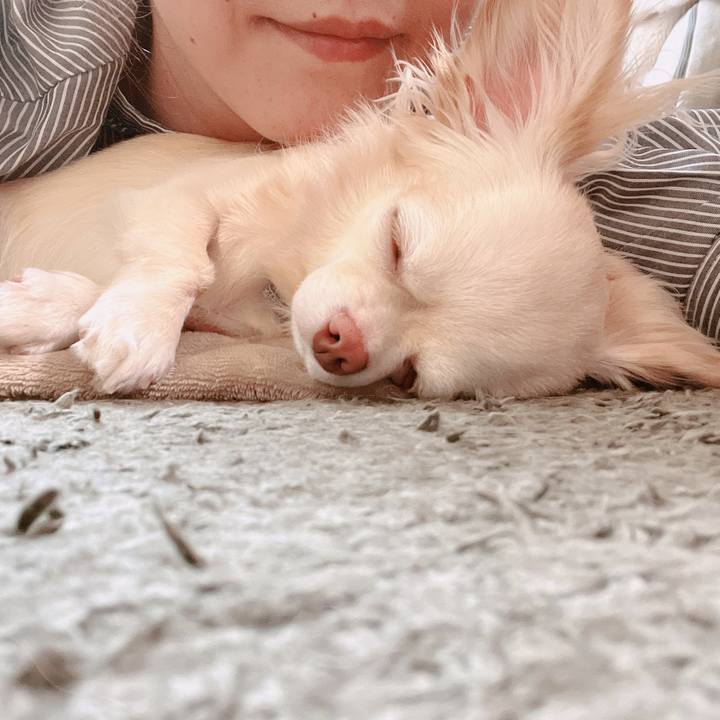 58ed5dcf f2c2 4d5d 86f9 afc068ed38b4 1661826681766