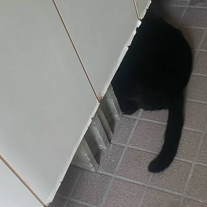 58ed5e5b 57ad 45fe ba6c 2e23003cc2d3 1755415709935