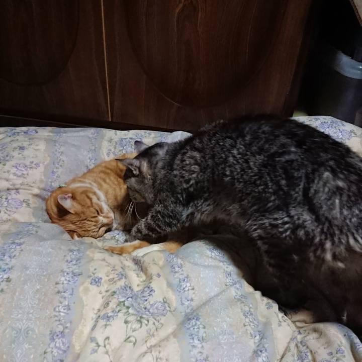 58ed663e 4949 4c84 b148 5fe6203454fa 1579953507375