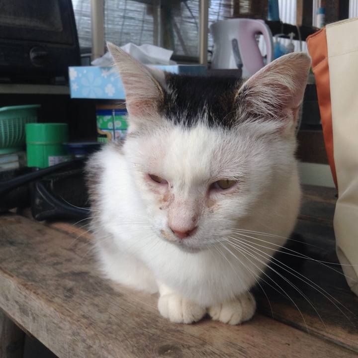 58ed7733 7dea 4211 aedf b2db3759dcdd 1560669223256