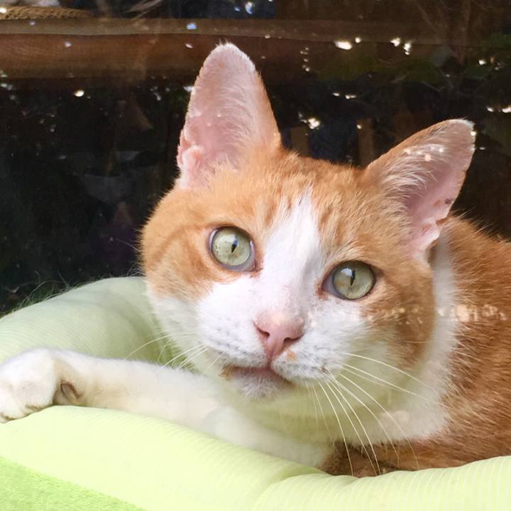 58eda17f edd6 4644 a608 0e26301b3cc2 1565316084234