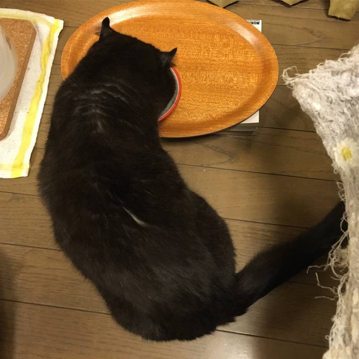 58edc3ec e2dc 4538 8edb 34d612233a73 1527087381687