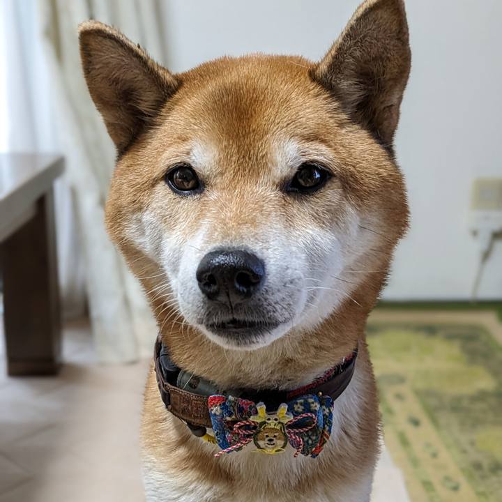 58ee1305 a44e 465c 8bd2 cc305e5da69d 1699702871516