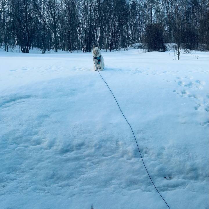 58ee43e1 052c 4f56 ad91 c448c35e73de 1741732375835