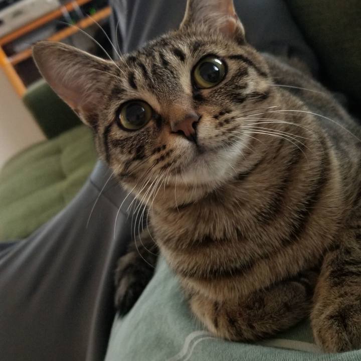 58ee5e9c a453 4c8a 8a6a b0994381fc92 1552947656071