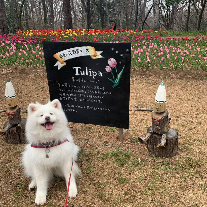 58ee6075 6acd 4607 8553 fab5f37756e6 1616400253450