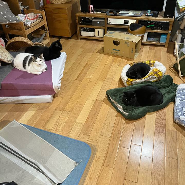 58ee9767 83a0 4759 a45d 988fb3053f25 1667570619959