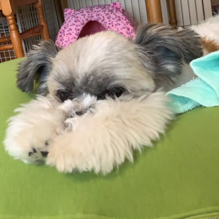 58eeb2e0 182c 4e7d 9f35 a993ae3c4c0b 1566718881651