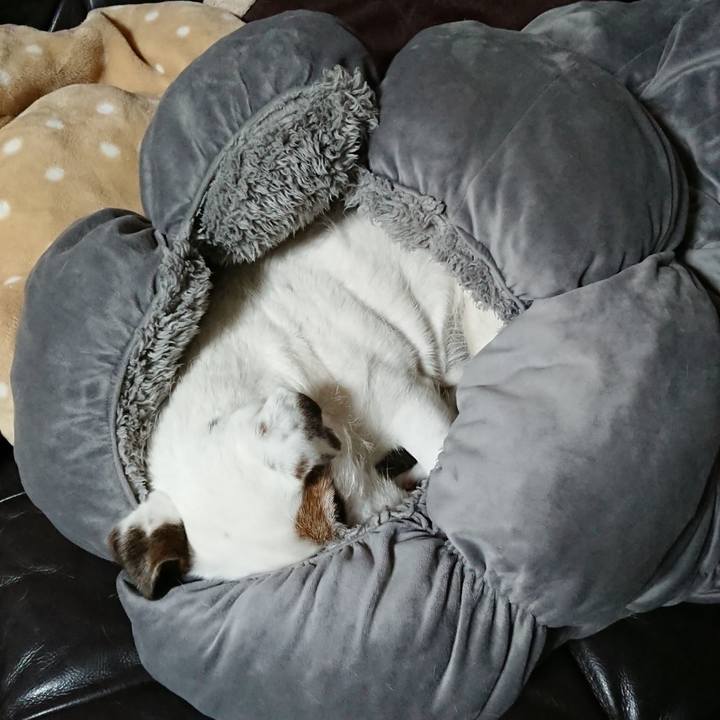 58ef1726 f500 49e8 8163 d6ea6b5a0640 1519688571553