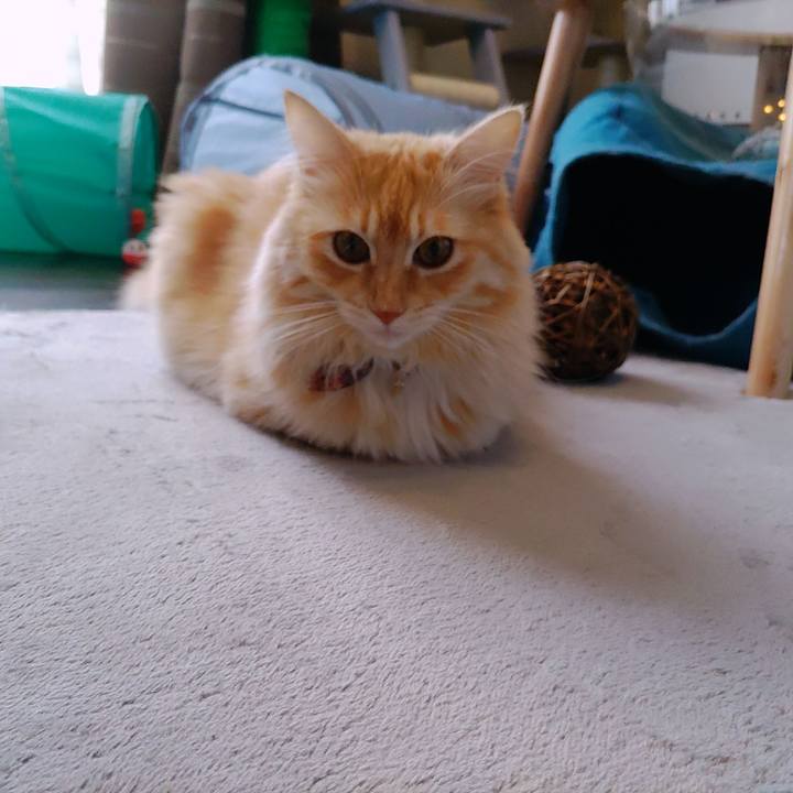 58ef5d03 dfa0 41ae b722 54fc18313502 1660798542019