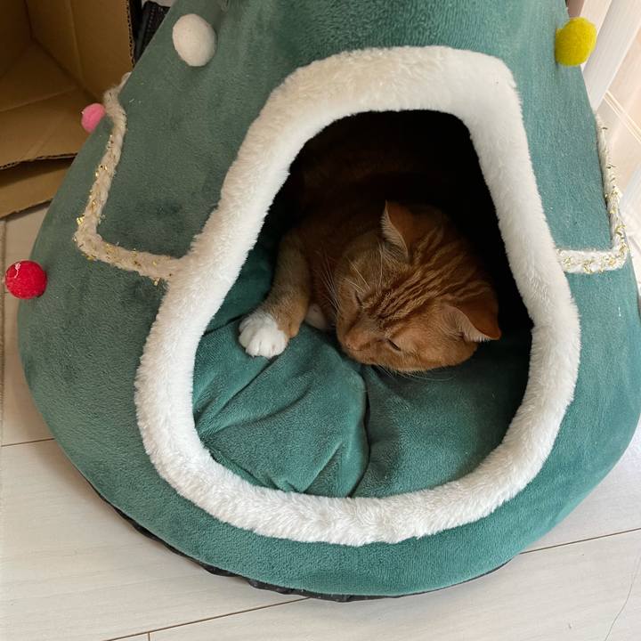 58efa726 3574 4f09 8c1a 4d2adfa0009b 1639287681355