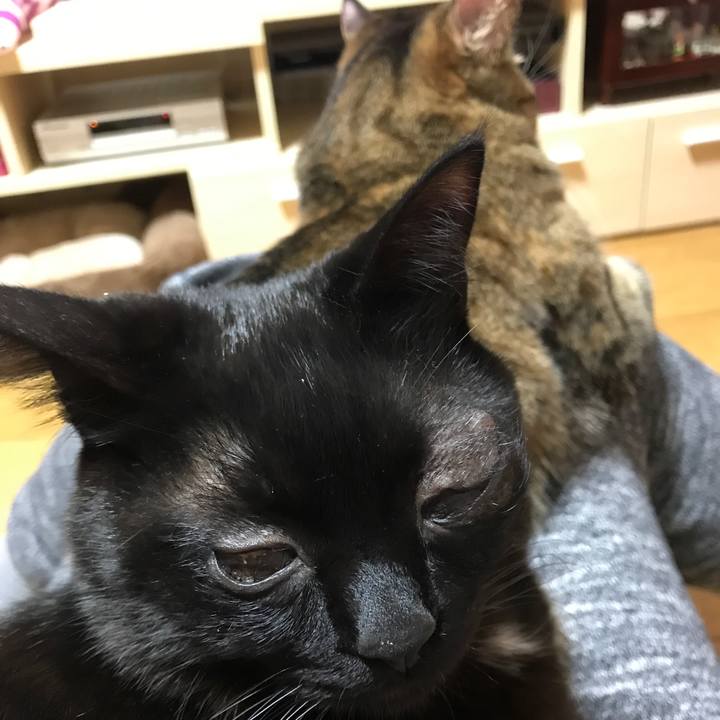 58efbdbc 2633 44cd 93f6 4846b618a972 1519386124561