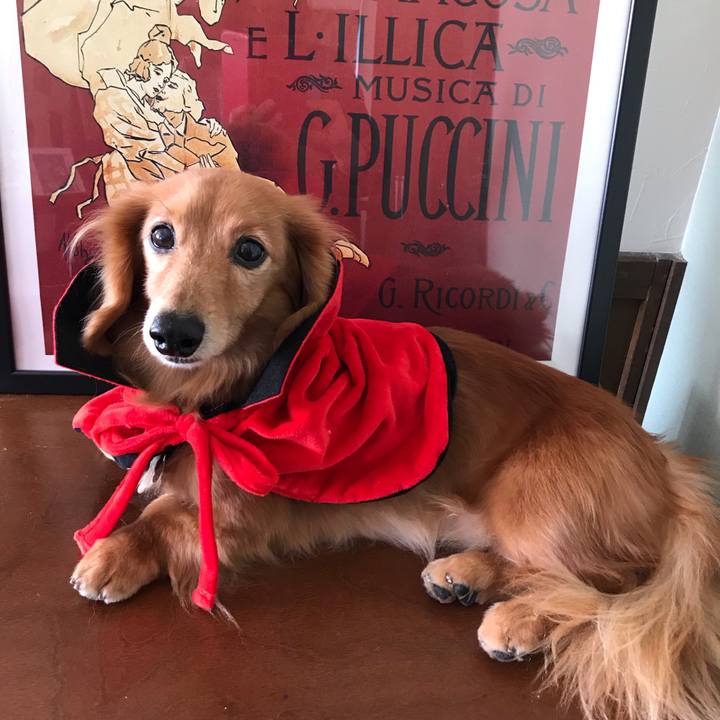 58efe9a8 00ef 4b9b 912a b7957b1a6fa8 1540873064840