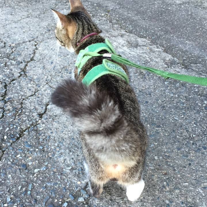 58effecb 5ecf 4e14 b601 c0fd2b05d951 1530448144460