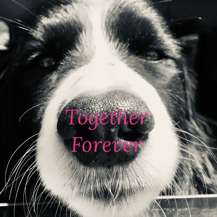 58f006bc aadf 4c18 bbf6 b232c6817e71 1740892758737