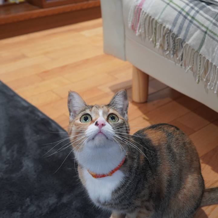 58f00bcf 049a 42ae b809 2c0557b700f6 1606267758132