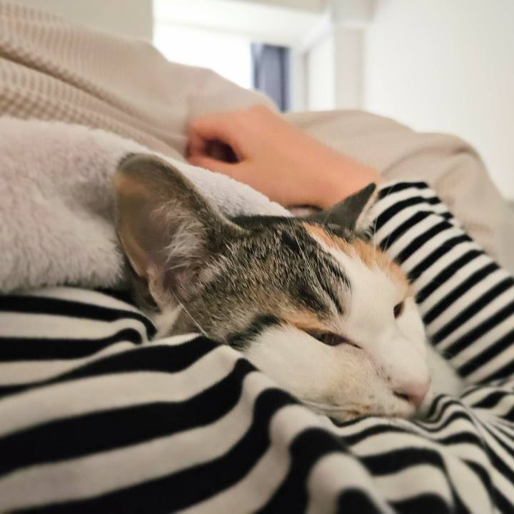 58f094c6 e188 4655 a147 9f931946c832 1762573491378