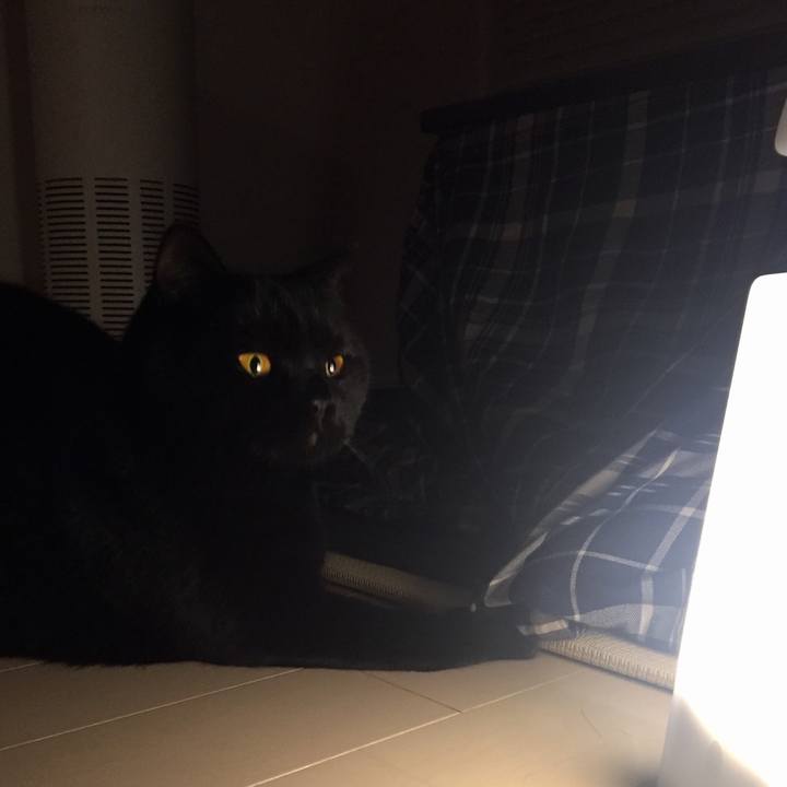 58f0a0e3 2722 4af3 942d 3a9e30927672 1546607051787