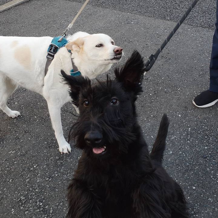 58f0a7b2 884b 4bb0 a6e5 771aa3b2953d 1670117797628