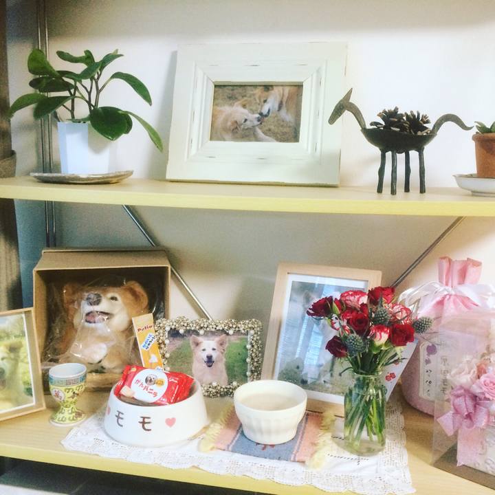 58f0aa35 c0a4 4ba0 a621 8dfa47f0de2d 1534130452428