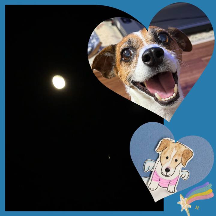 58f0e4e7 6195 4605 bff2 4243c529863f 1765108418989