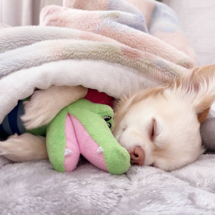 58f0e7ae 1b97 406e a8ad a07369e28d41 1741345777050