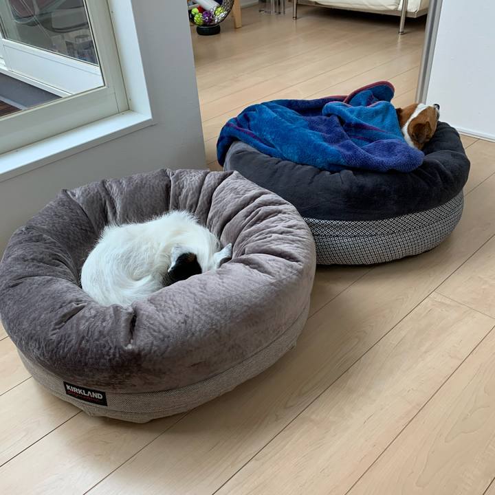 58f0efe5 d26f 4f10 99c6 cc6203ec6fe5 1585715530015