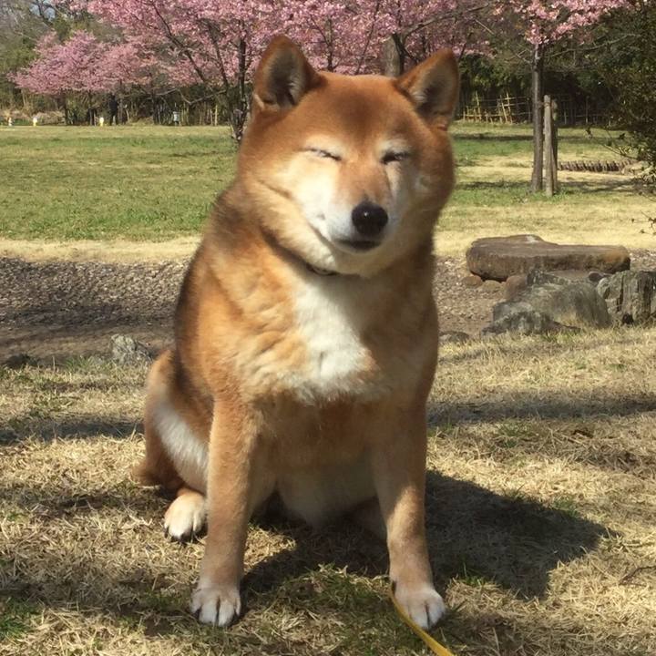 58f0ff56 0cab 4f6e a6f2 e4cb80d24c18 1552871822707