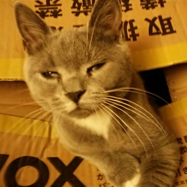 58f117e9 dcda 4c58 80b8 242603631a68 1536957915298