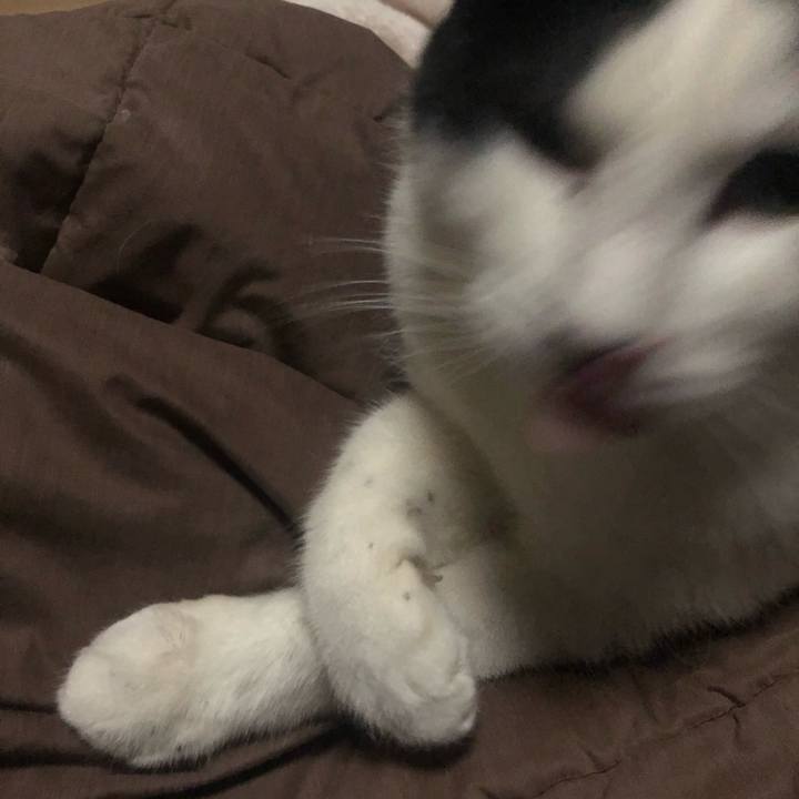 58f12563 e9c1 487e 8c88 463d1f2cf391 1612210540679