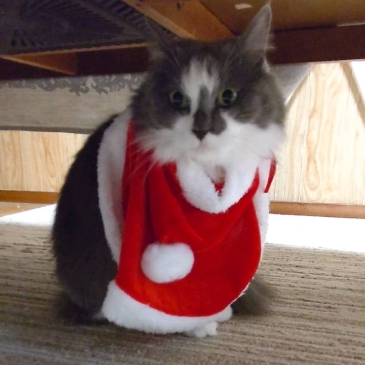 58f12d12 cc5e 4447 8db6 a93d1fbc24ec 1732608373360