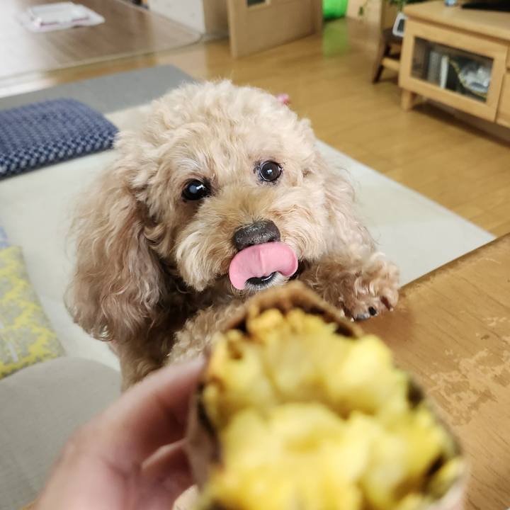 58f1615f 972c 4be6 abe3 5971009525c6 1760915797598