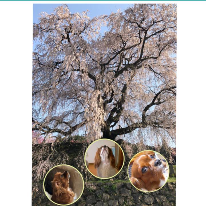 58f16330 7226 49f3 97f8 cbda027bed21 1554646704530