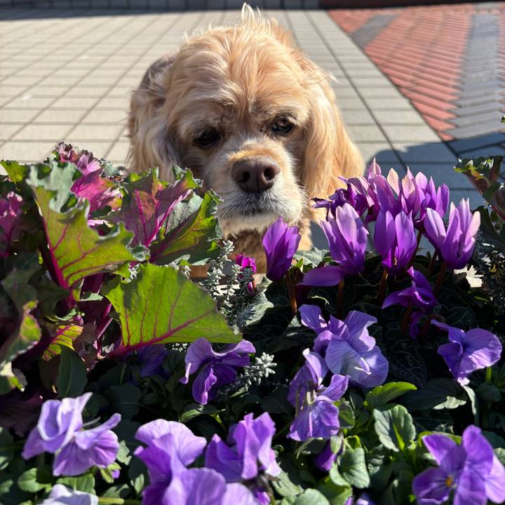 58f16a57 7b83 4da7 9902 a35ca3c4f845 1768487426060