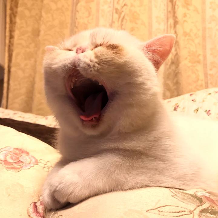 58f16b25 e88a 4249 90e5 5fbe98149694 1556114579926