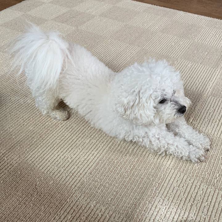 58f1d9c4 48e2 4346 9e19 cbdb25a9a794 1552179367253